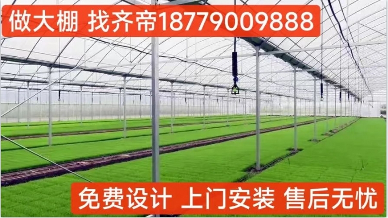 齊帝 養(yǎng)殖大棚 養(yǎng)魚(yú) 、蝦、螃蟹等